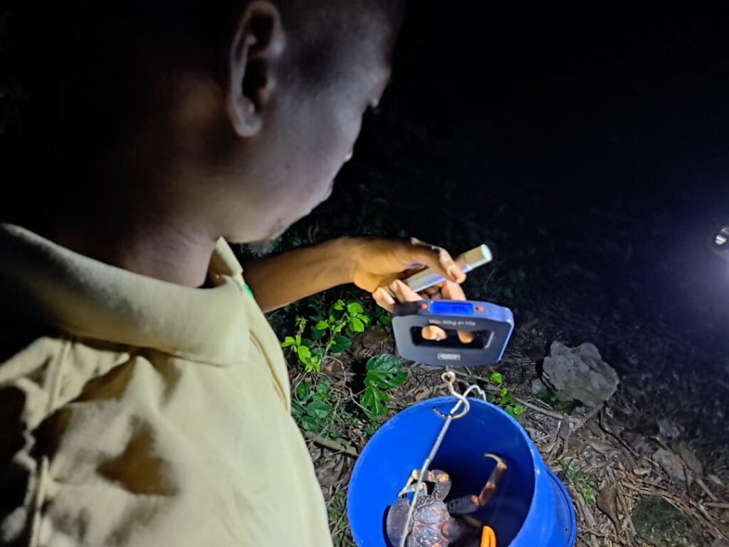 Coconut Crab Conservation Pemba