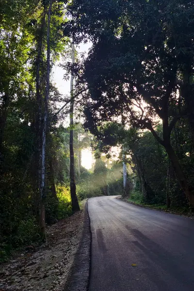 Ngezi Forest